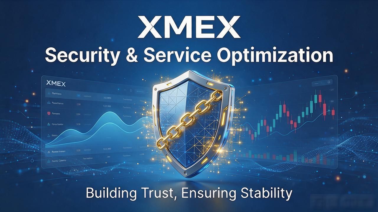 XMEX交易所成立时间及发展历程全解析